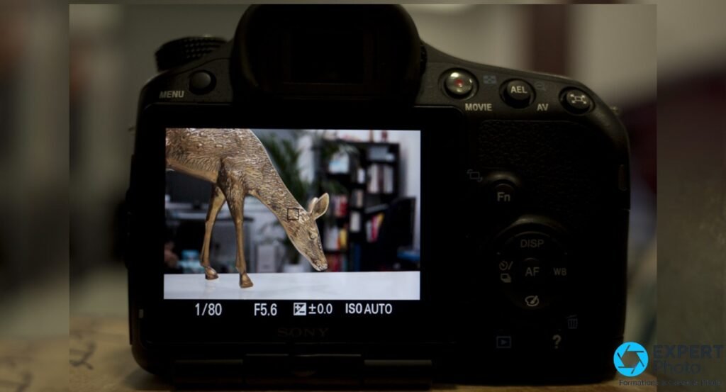 Sony Alpha 65 vu de dos, écran LCD allumé avec réglages 1/80 F5.6 ISO AUTO affichés, boutons MENU et MOVIE visibles