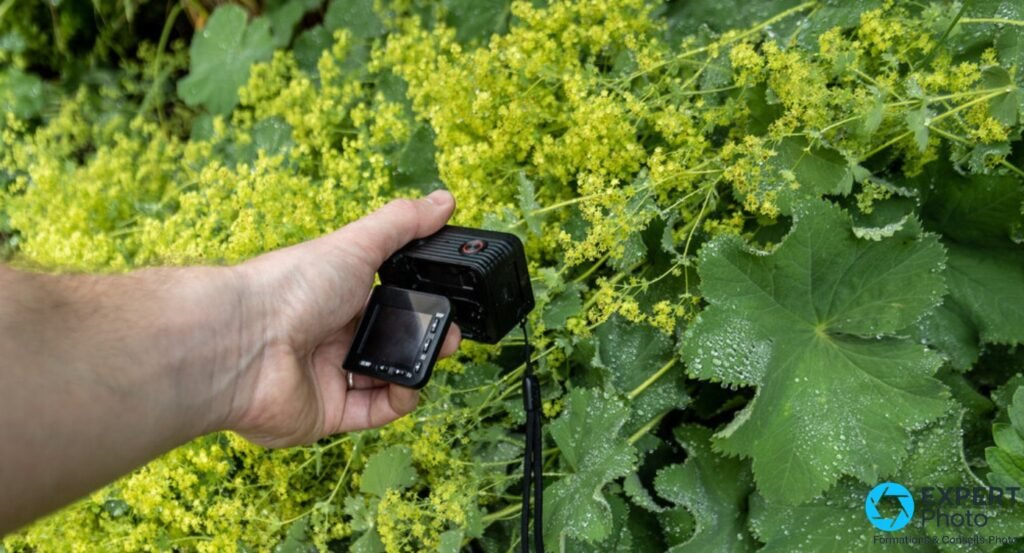  Sony RX0 II noire tenue en main côté arrière dans un décor végétal, écran inclinable déployé, boutons de navigation visibles