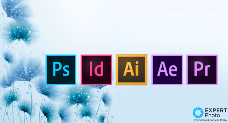 Quel logiciel de conception graphique pour garder vos fichiers modifiables ? tOP logiciels de conception graphique