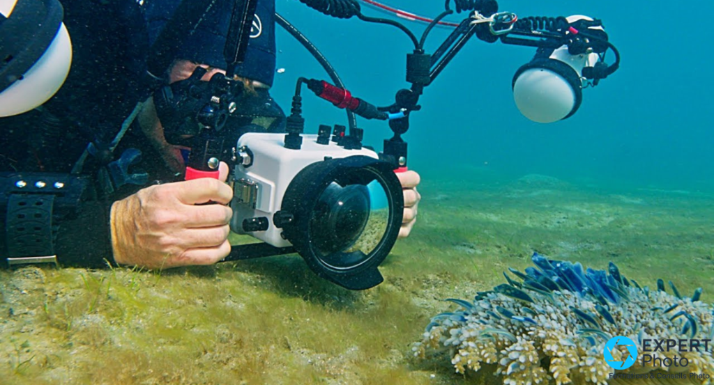 meilleurs ports dôme pour la photographie sous-marine